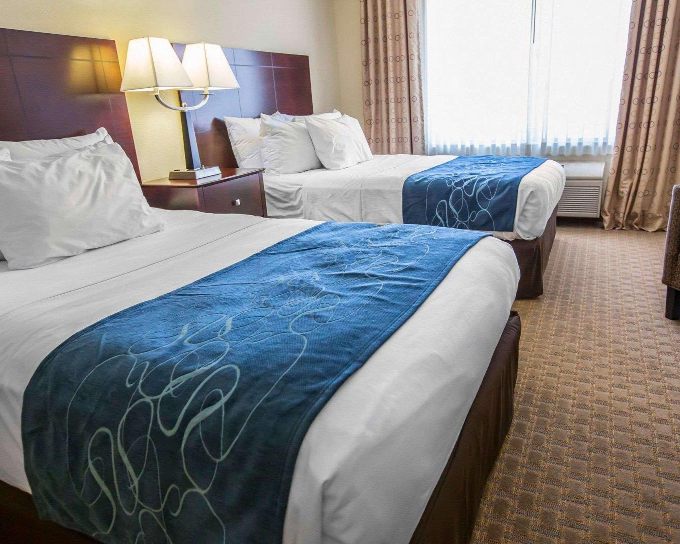Comfort Suites University Area Notre Dame-Σάουθ Μπεντ Εξωτερικό φωτογραφία